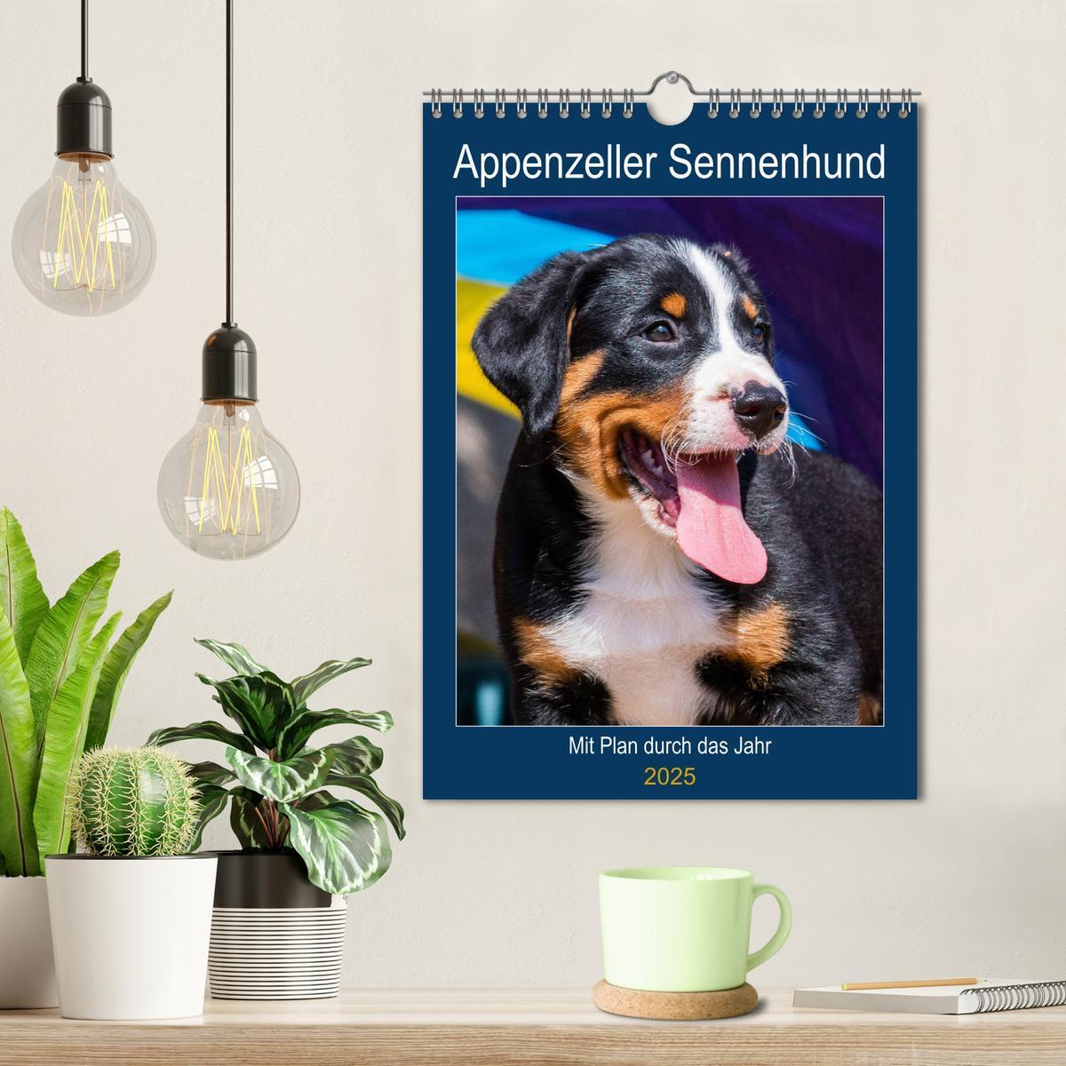 Bild: 9783435936939 | Appenzeller Sennenhund - Mit Plan durch das Jahr (Wandkalender 2025...