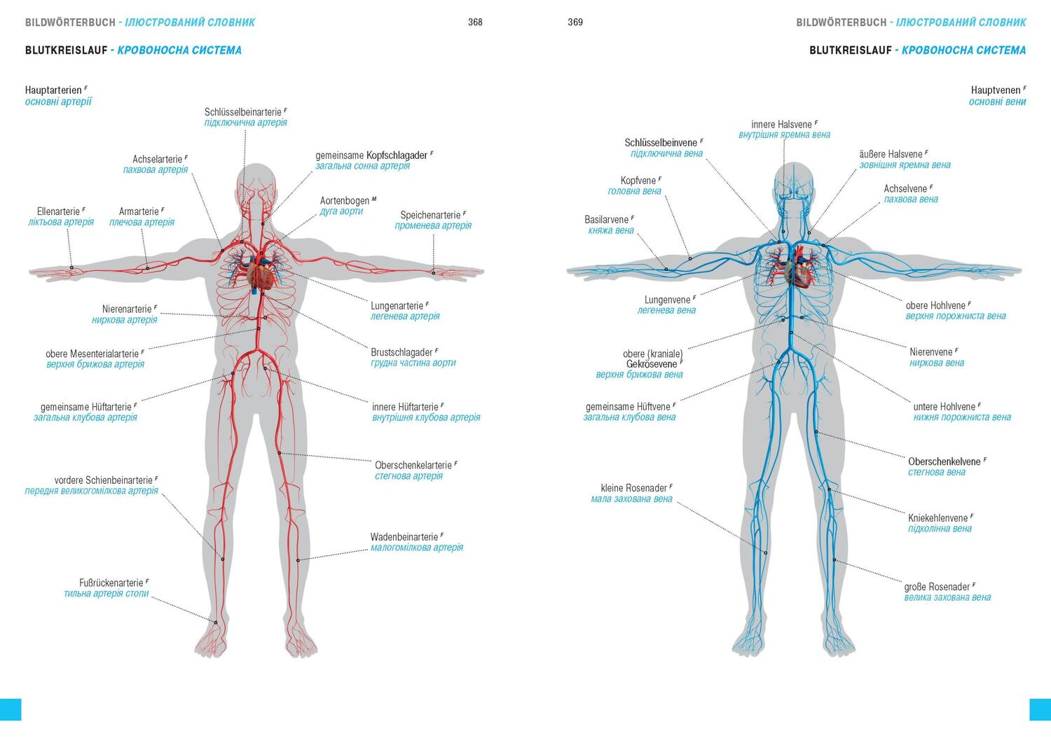 Bild: 9783898947688 | Wörterbuch Medizin Deutsch-Ukrainisch, Ukrainisch-Deutsch mit...