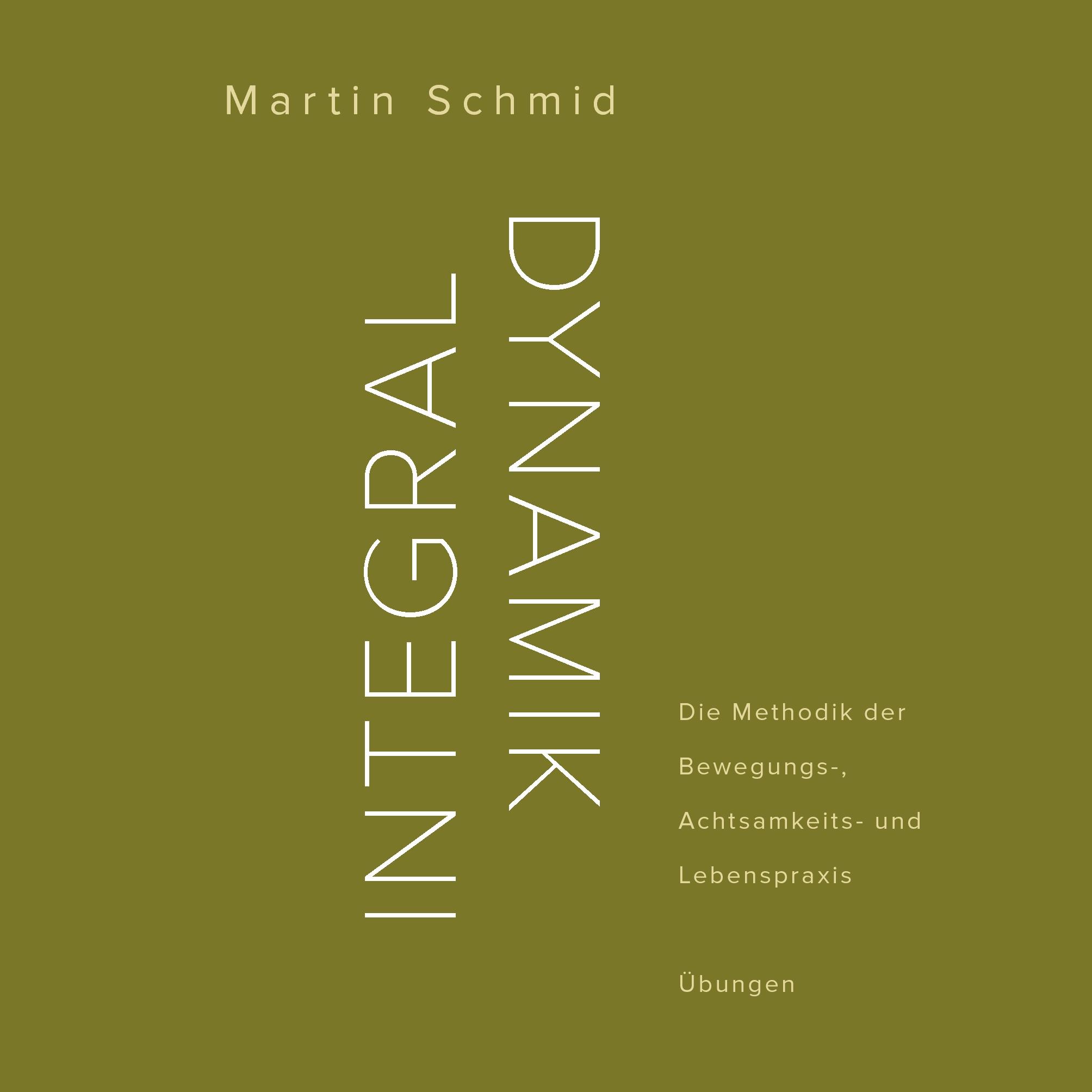 Cover: 9783906318073 | Integraldynamik | Martin Schmid | Taschenbuch | 132 S. | Deutsch