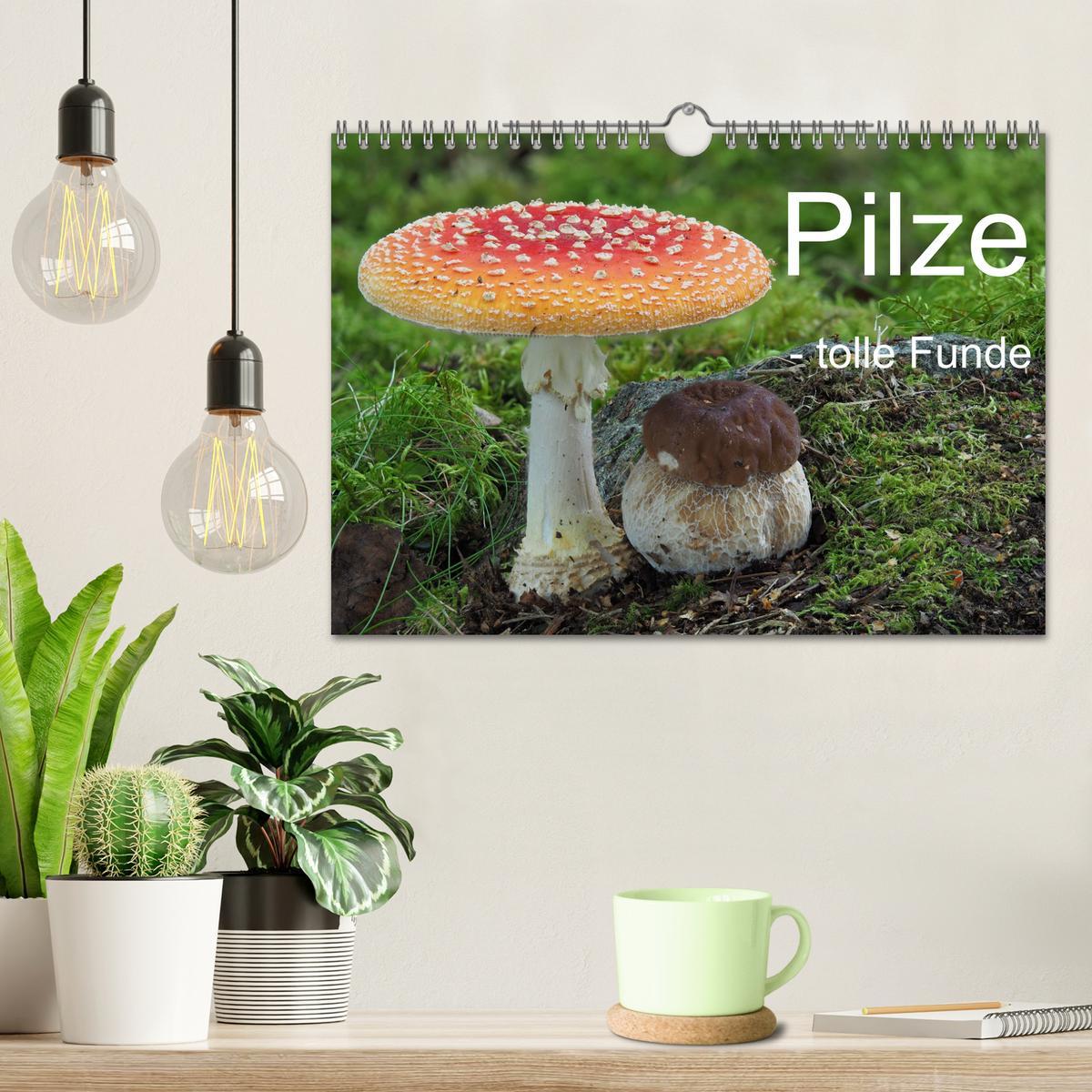 Bild: 9783383980343 | Pilze - tolle Funde (Wandkalender 2025 DIN A4 quer), CALVENDO...