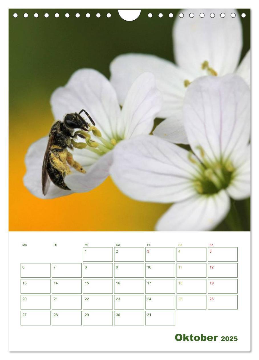 Bild: 9783457030813 | Bienen-Terminplaner 2025 (Wandkalender 2025 DIN A4 hoch), CALVENDO...