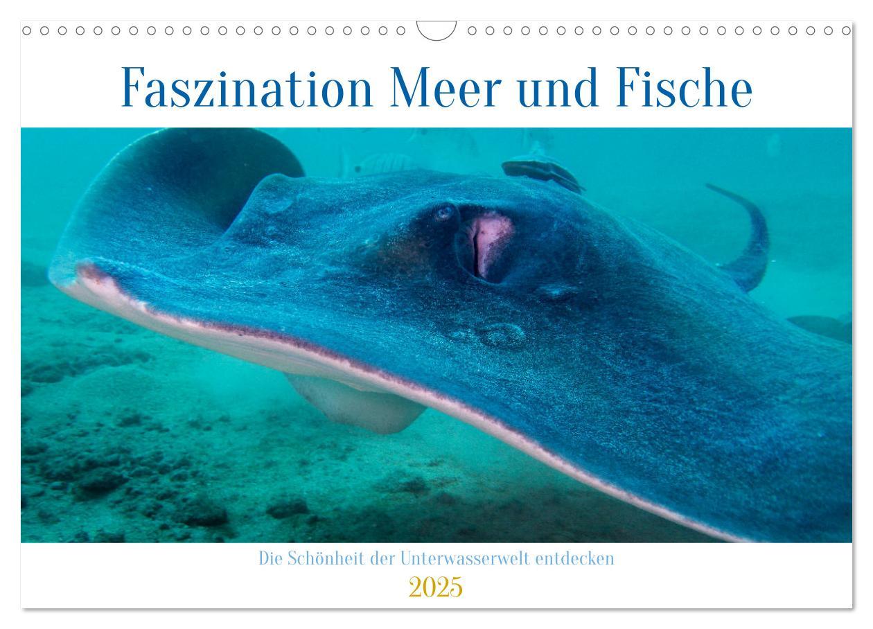 Cover: 9783383883279 | Faszination Meer und Fische (Wandkalender 2025 DIN A3 quer),...