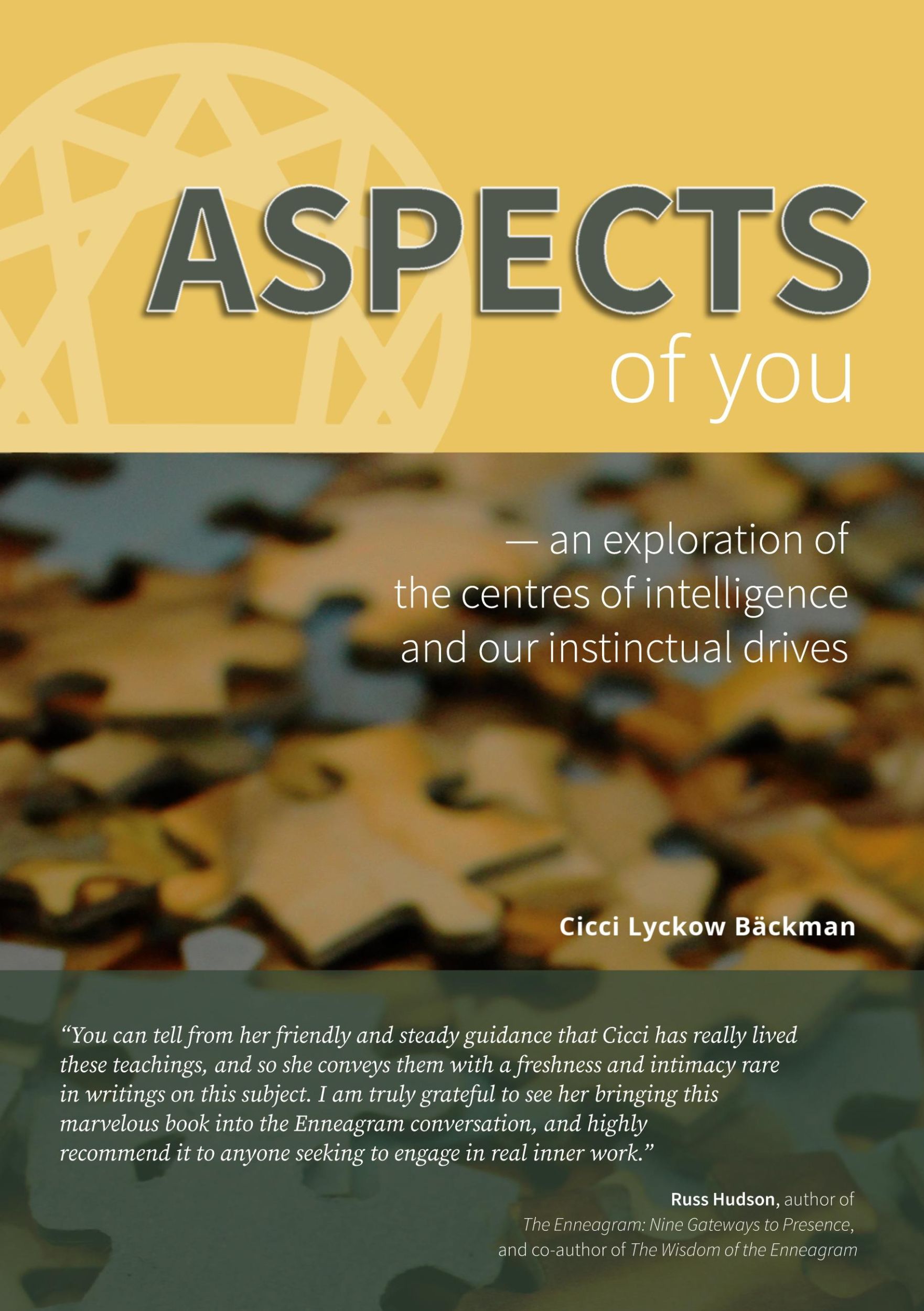 Cover: 9789174637977 | Aspects of You | Cicci Lyckow Bäckman | Taschenbuch | Paperback | 2021