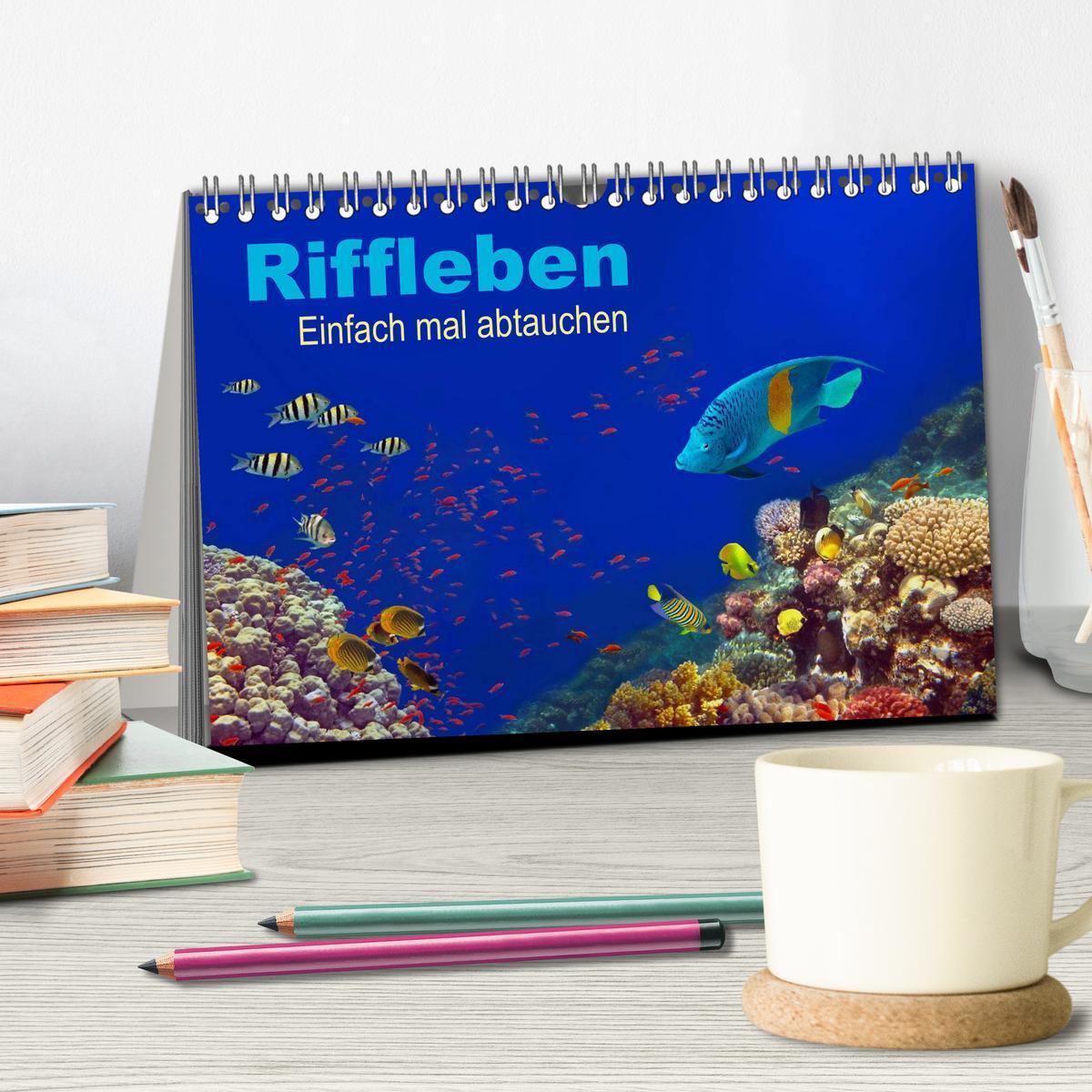 Bild: 9783435606849 | Riffleben - Einfach mal abtauchen (Tischkalender 2025 DIN A5 quer),...