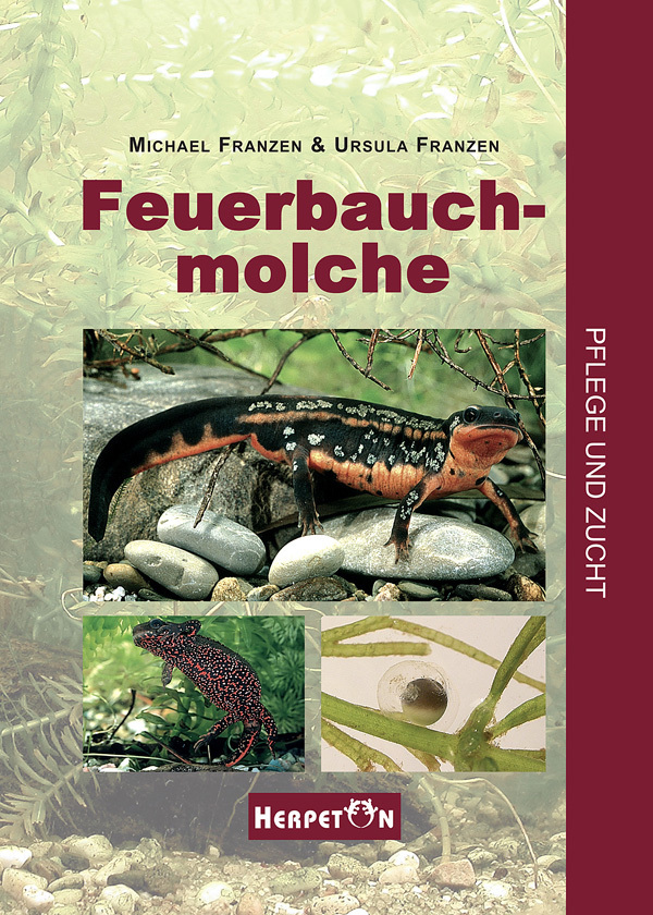 Cover: 9783936180152 | Feuerbauchmolche | Pflege und Zucht | Michael Franzen (u. a.) | Buch