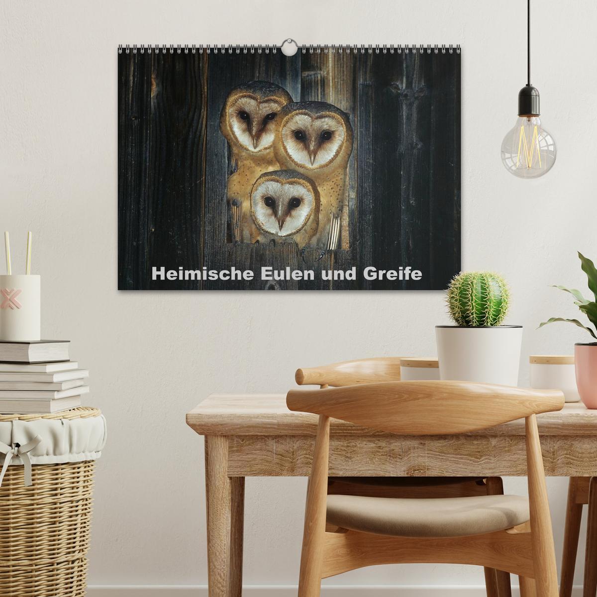 Bild: 9783435719341 | Heimische Eulen und Greife (Wandkalender 2025 DIN A3 quer),...