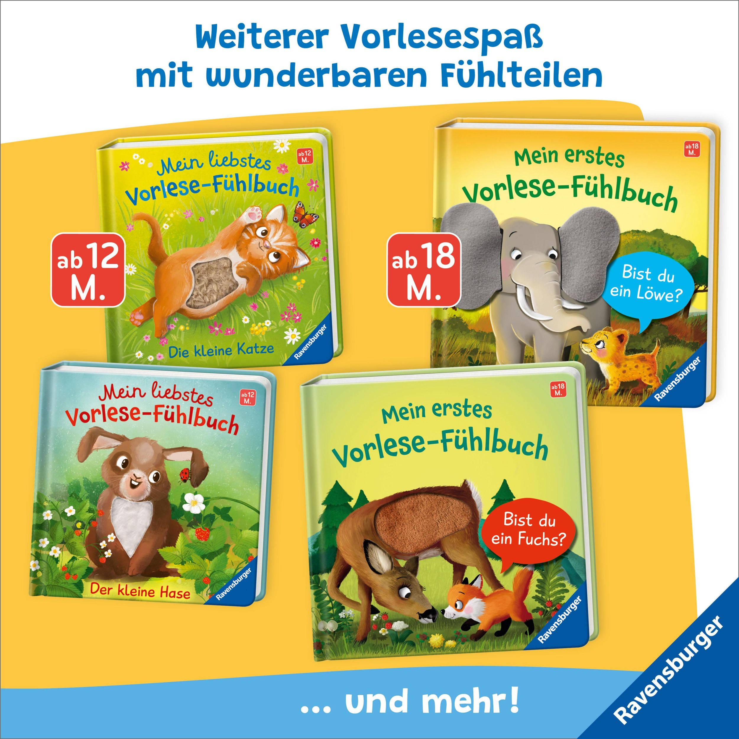 Bild: 9783473416875 | Mein erstes Vorlese-Fühlbuch: Bist du ein Hase? | Kathrin Lena Orso