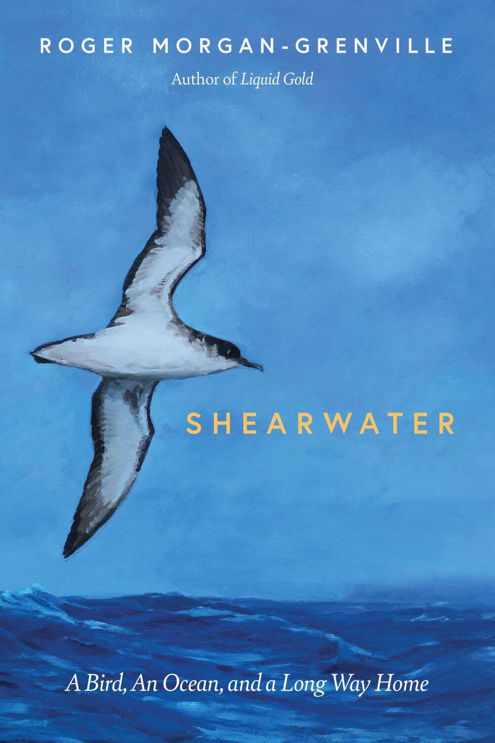 Cover: 9781785787201 | Shearwater | A Bird, an Ocean, and a Long Way Home | Morgan-Grenville