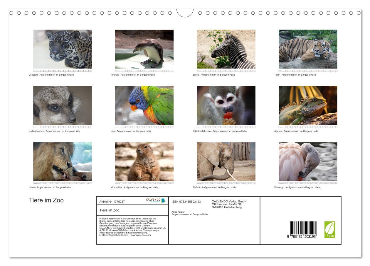 Bild: 9783435503193 | Tiere im Zoo (Wandkalender 2025 DIN A3 quer), CALVENDO Monatskalender