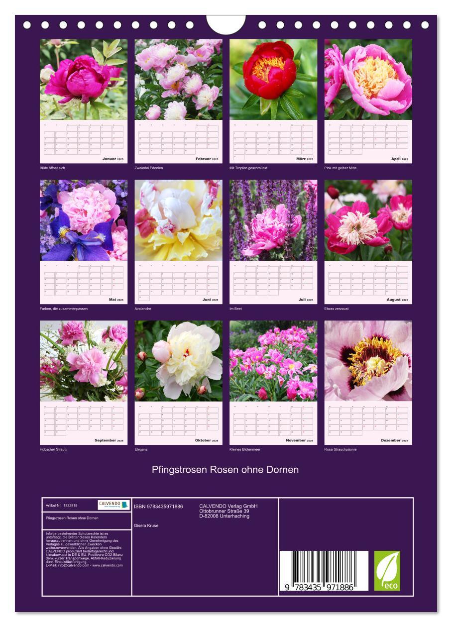 Bild: 9783435971886 | Pfingstrosen Rosen ohne Dornen (Wandkalender 2025 DIN A4 hoch),...