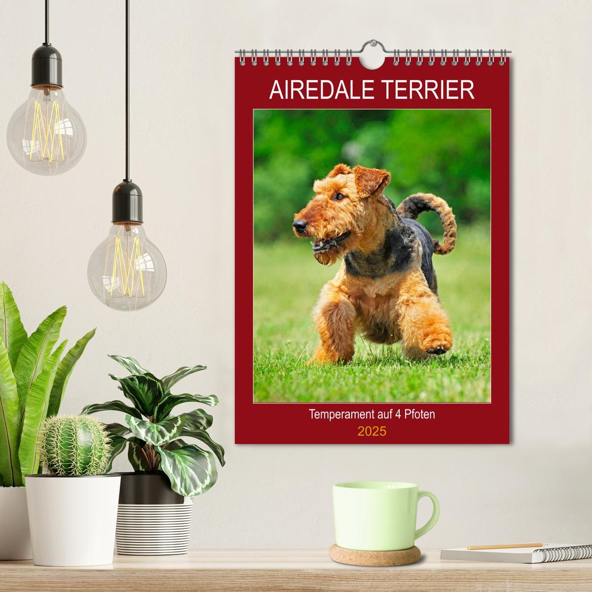 Bild: 9783435960866 | Airedale Terrier - Temperament auf 4 Pfoten (Wandkalender 2025 DIN...