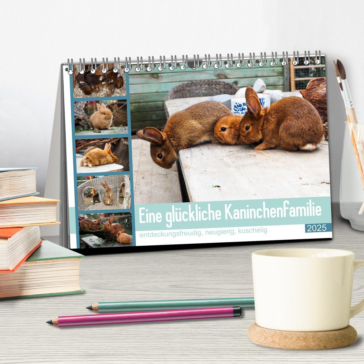 Bild: 9783383971600 | Eine glückliche Kaninchenfamilie (Tischkalender 2025 DIN A5 quer),...