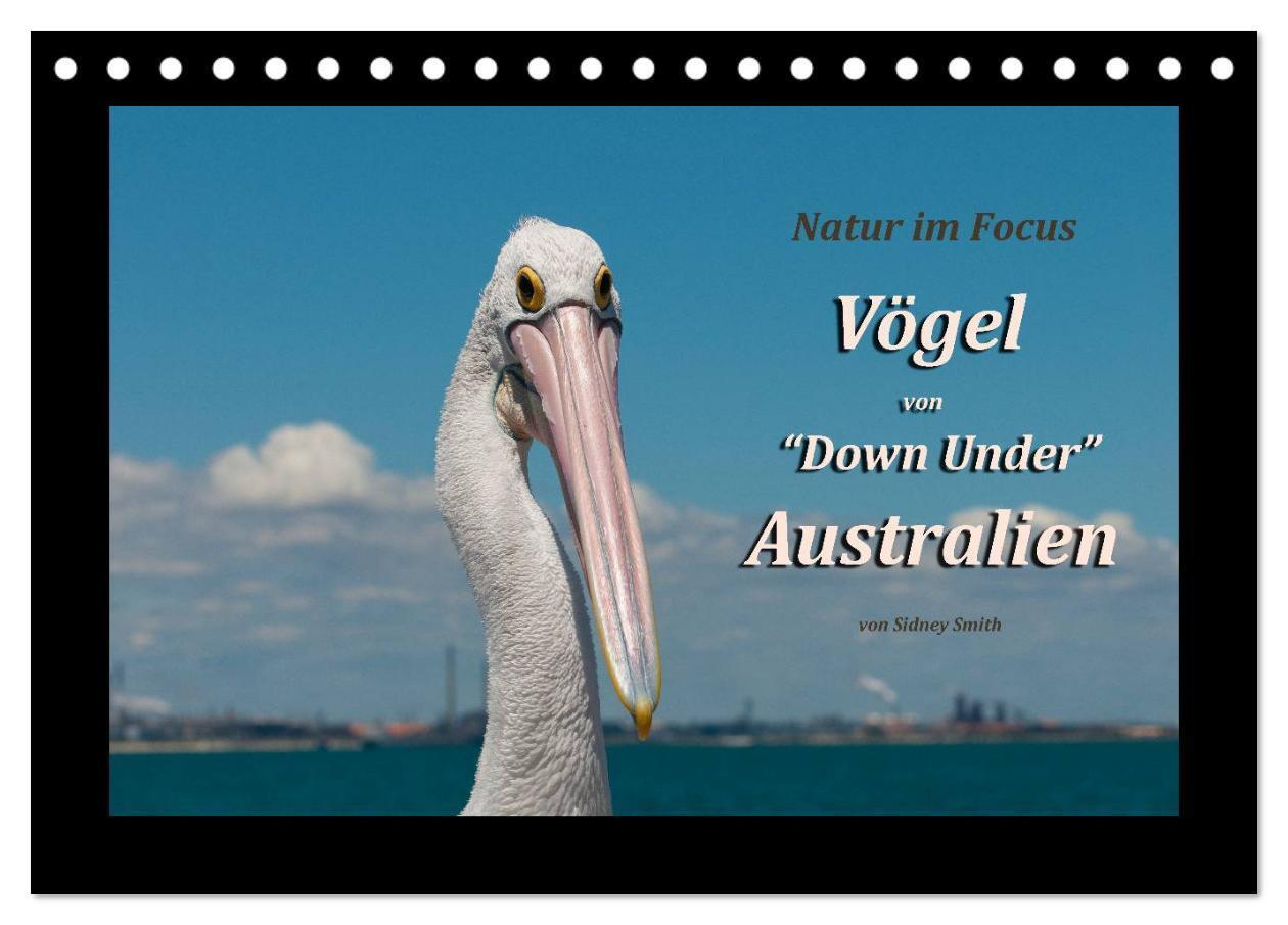 Cover: 9783435707256 | Vögel von "Down Under" Australien (Tischkalender 2025 DIN A5 quer),...