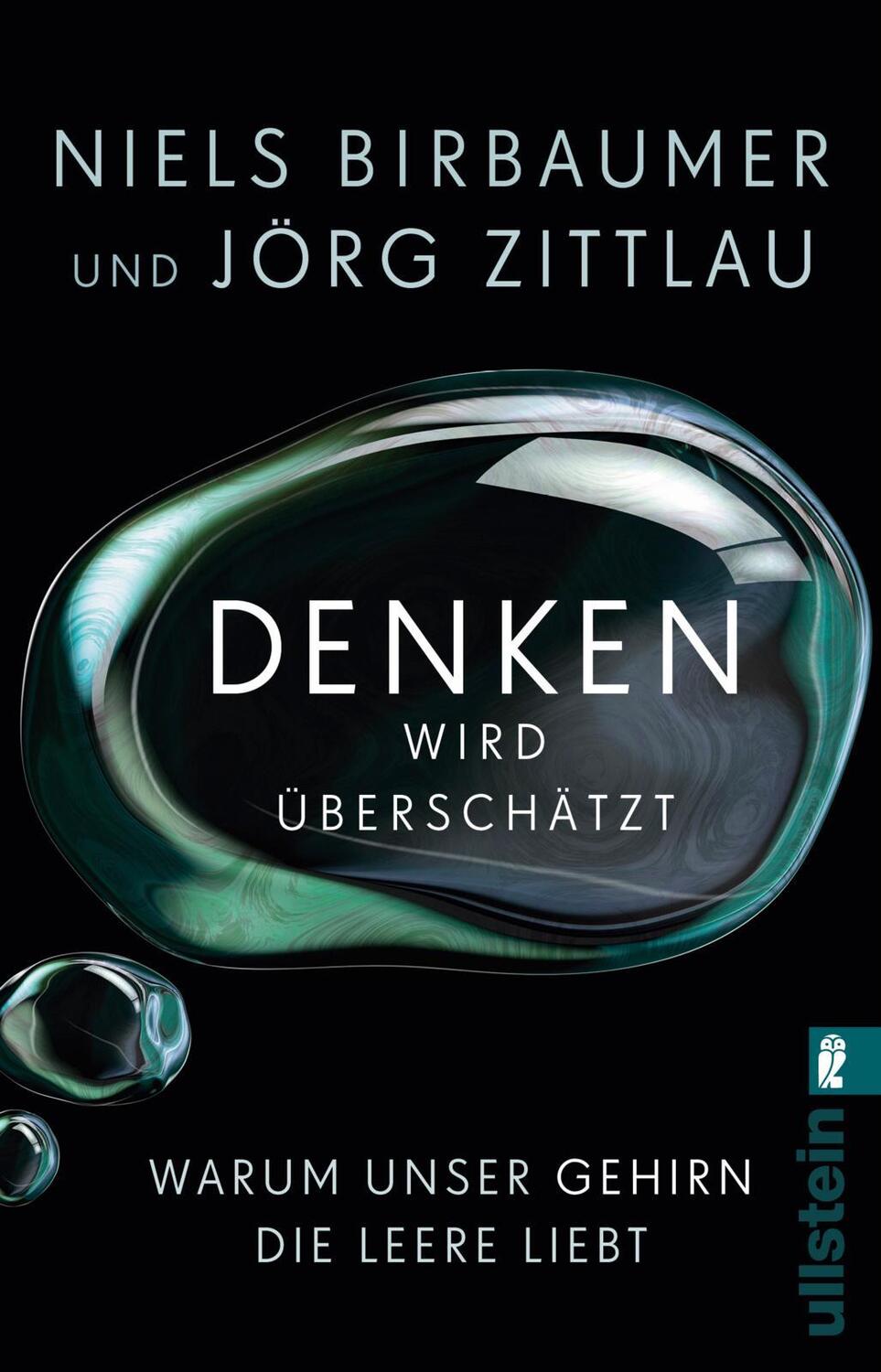 Cover: 9783548377261 | Denken wird überschätzt | Warum unser Gehirn die Leere liebt | Buch