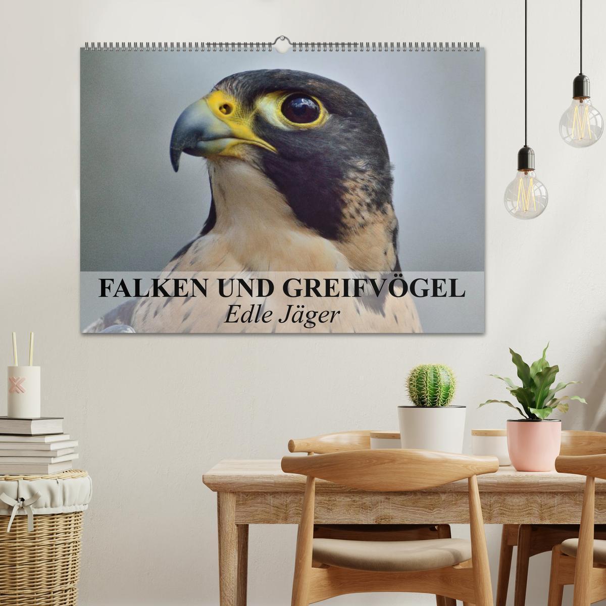 Bild: 9783435650712 | Falken und Greifvögel. Edle Jäger (Wandkalender 2025 DIN A2 quer),...