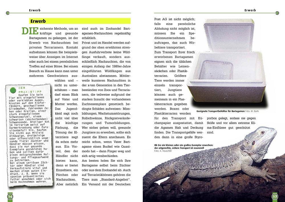 Bild: 9783937285207 | Die Bartagame | Pogona vitticeps | Andree Hauschild | Taschenbuch