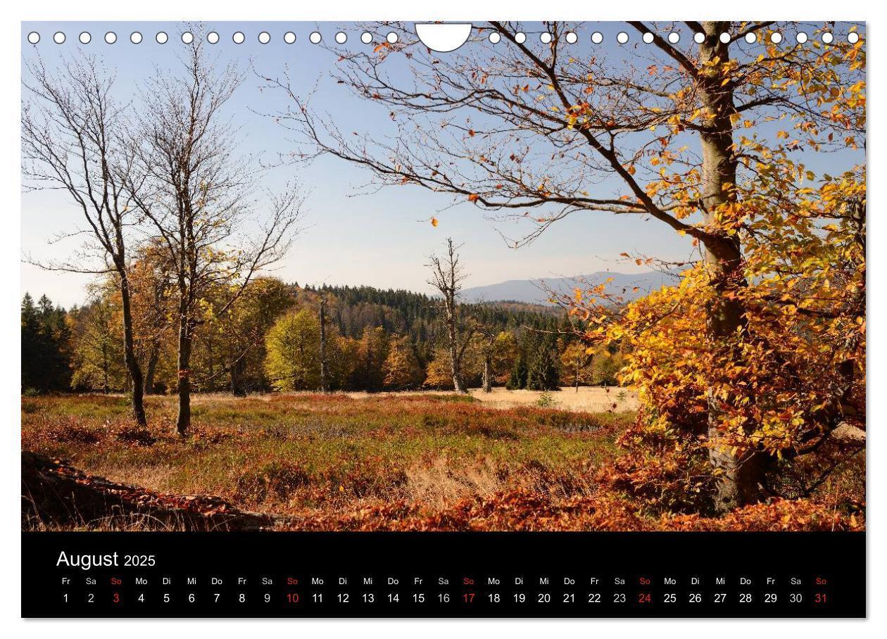 Bild: 9783435520114 | Zauberhafter Bayerischer Wald (Wandkalender 2025 DIN A4 quer),...