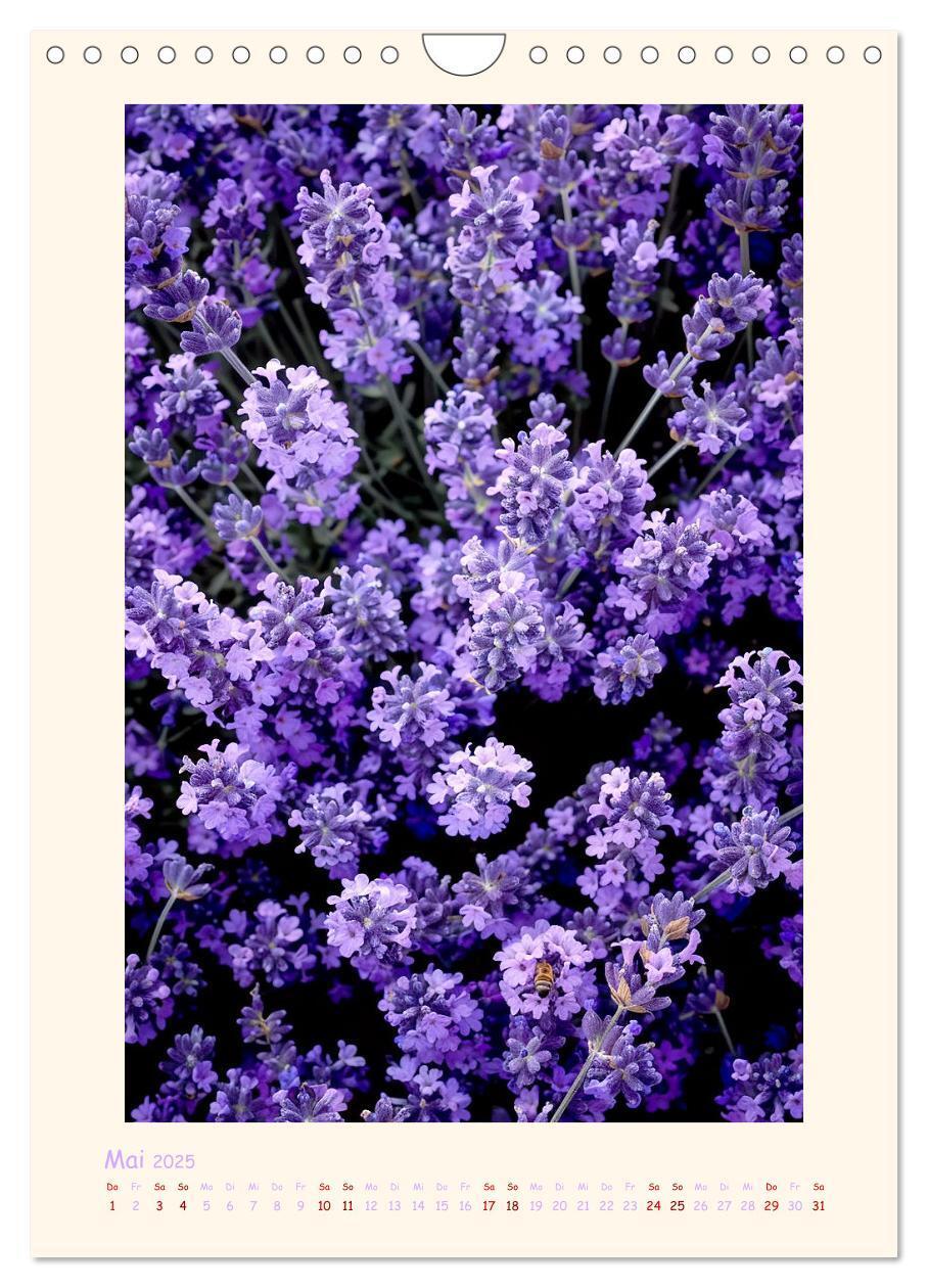 Bild: 9783383827242 | Lavendel (Wandkalender 2025 DIN A4 hoch), CALVENDO Monatskalender