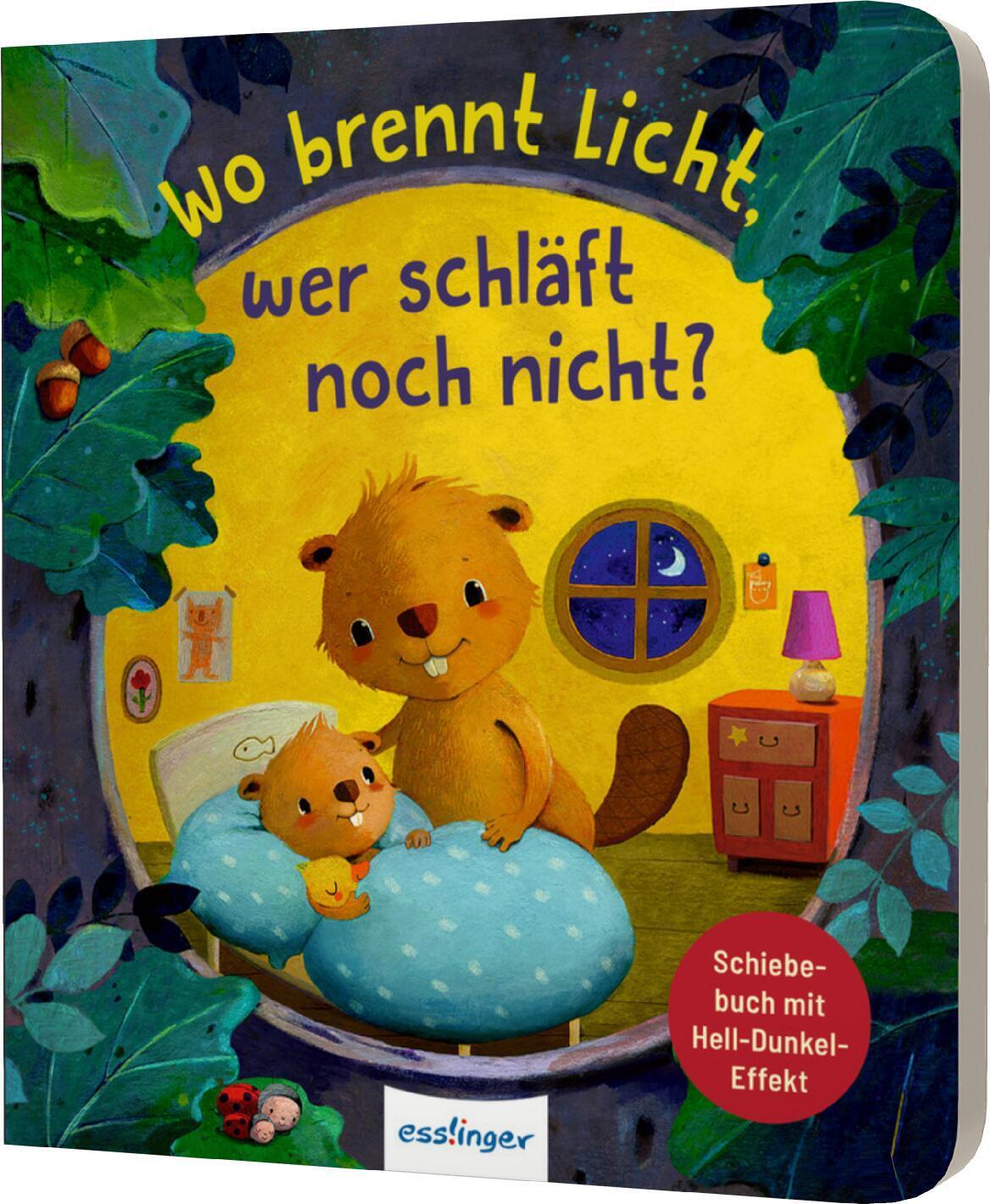 Cover: 9783480238538 | Wo brennt Licht, wer schläft noch nicht? | Anja Kiel | Buch | 10 S.