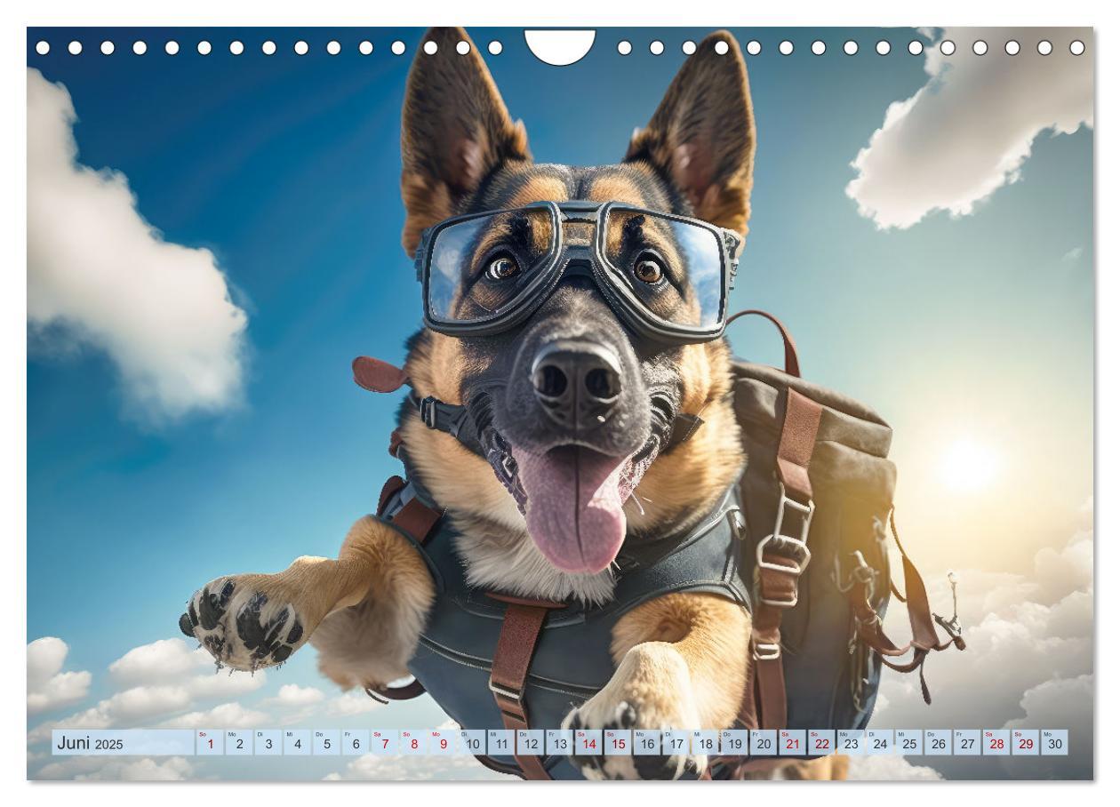 Bild: 9783383867149 | Hunde Skydiving (Wandkalender 2025 DIN A4 quer), CALVENDO...