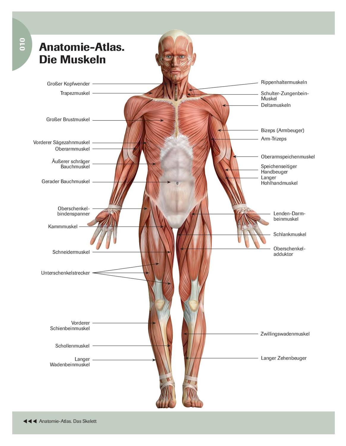 Bild: 9783966641968 | Stretching für Senioren | Über 90 Dehnübungen für mehr Beweglichkeit