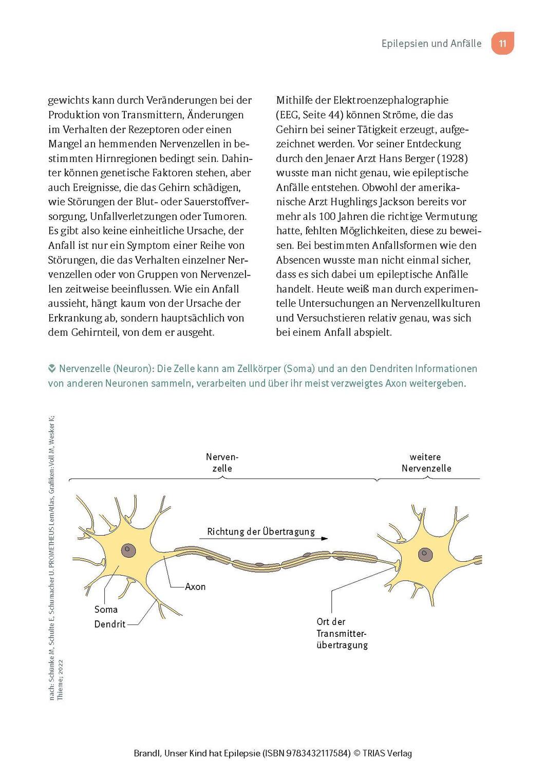 Bild: 9783432117584 | Unser Kind hat Epilepsie | Ulrich Brandl | Taschenbuch | 120 S. | 2023