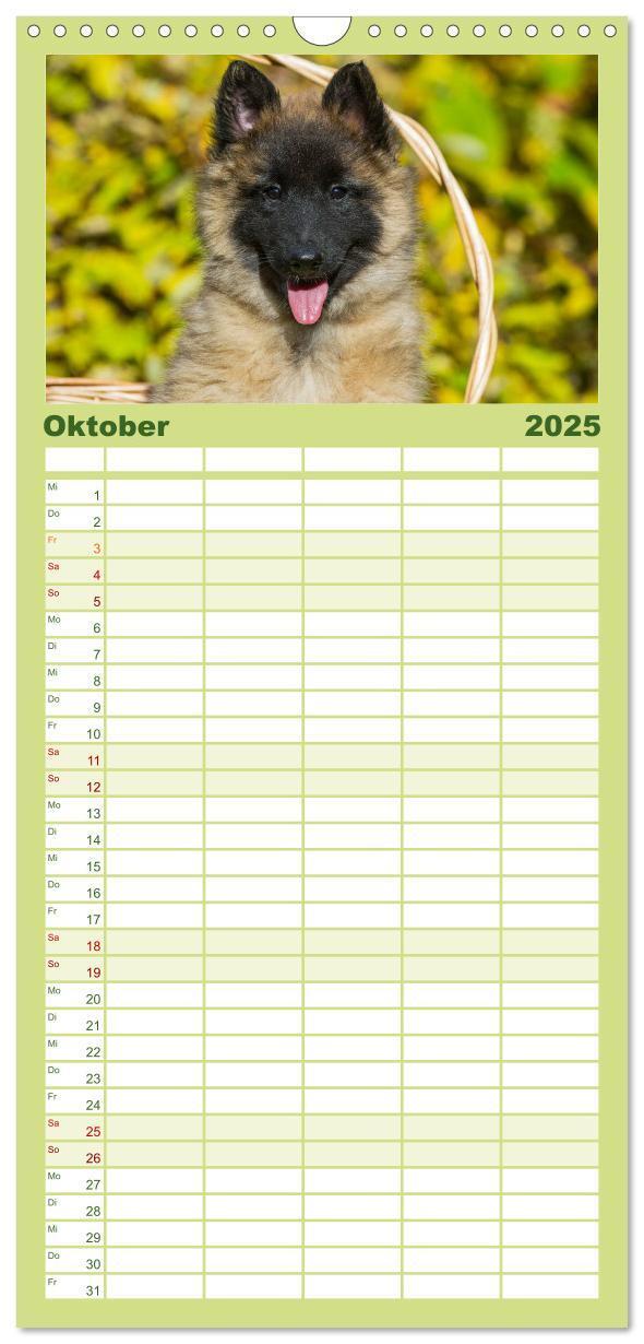 Bild: 9783457119259 | Familienplaner 2025 - Welpen 2025 mit 5 Spalten (Wandkalender, 21 x...