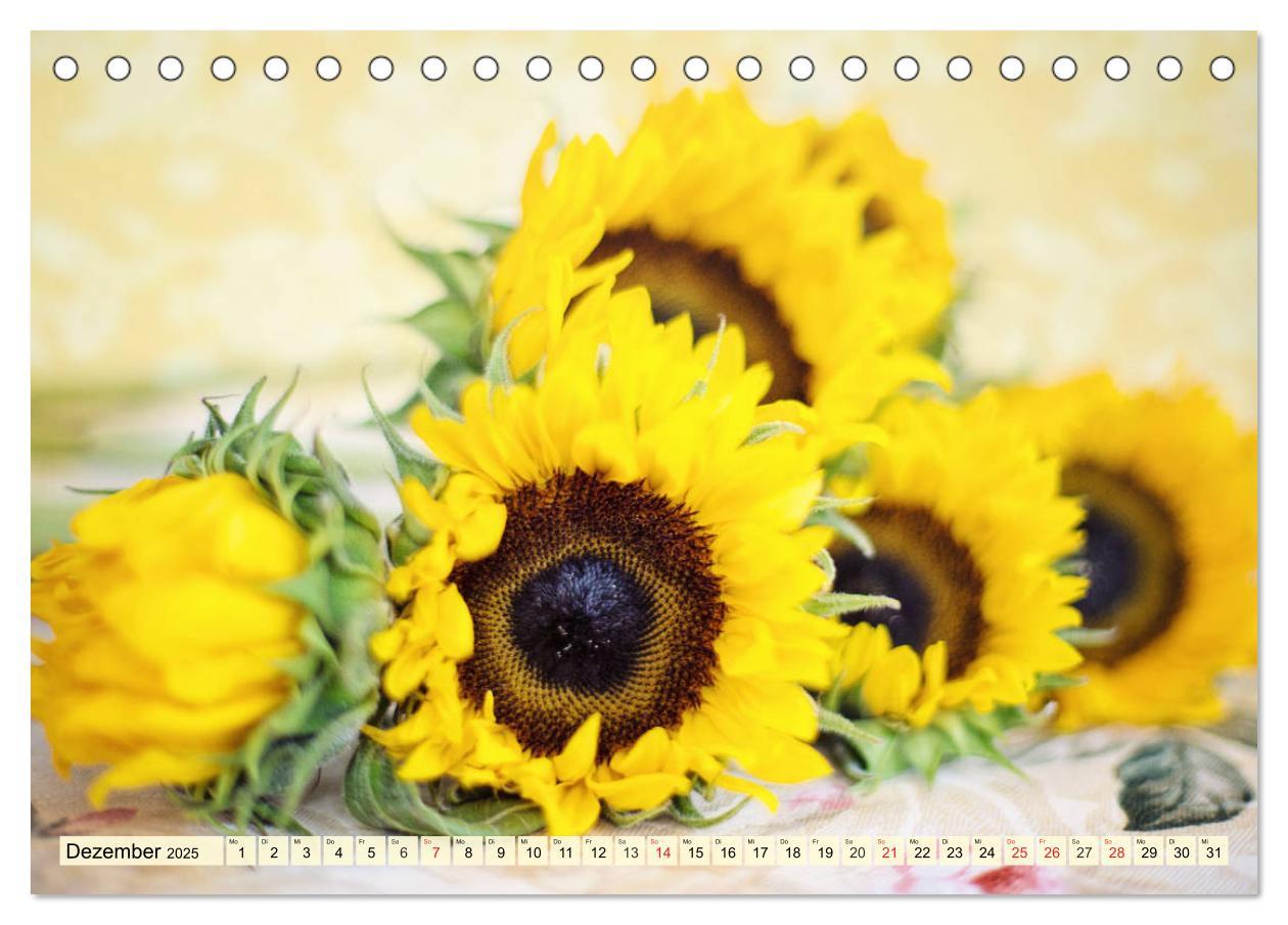 Bild: 9783435191826 | Sonnenblumen. Das Strahlen des Sommers (Tischkalender 2025 DIN A5...