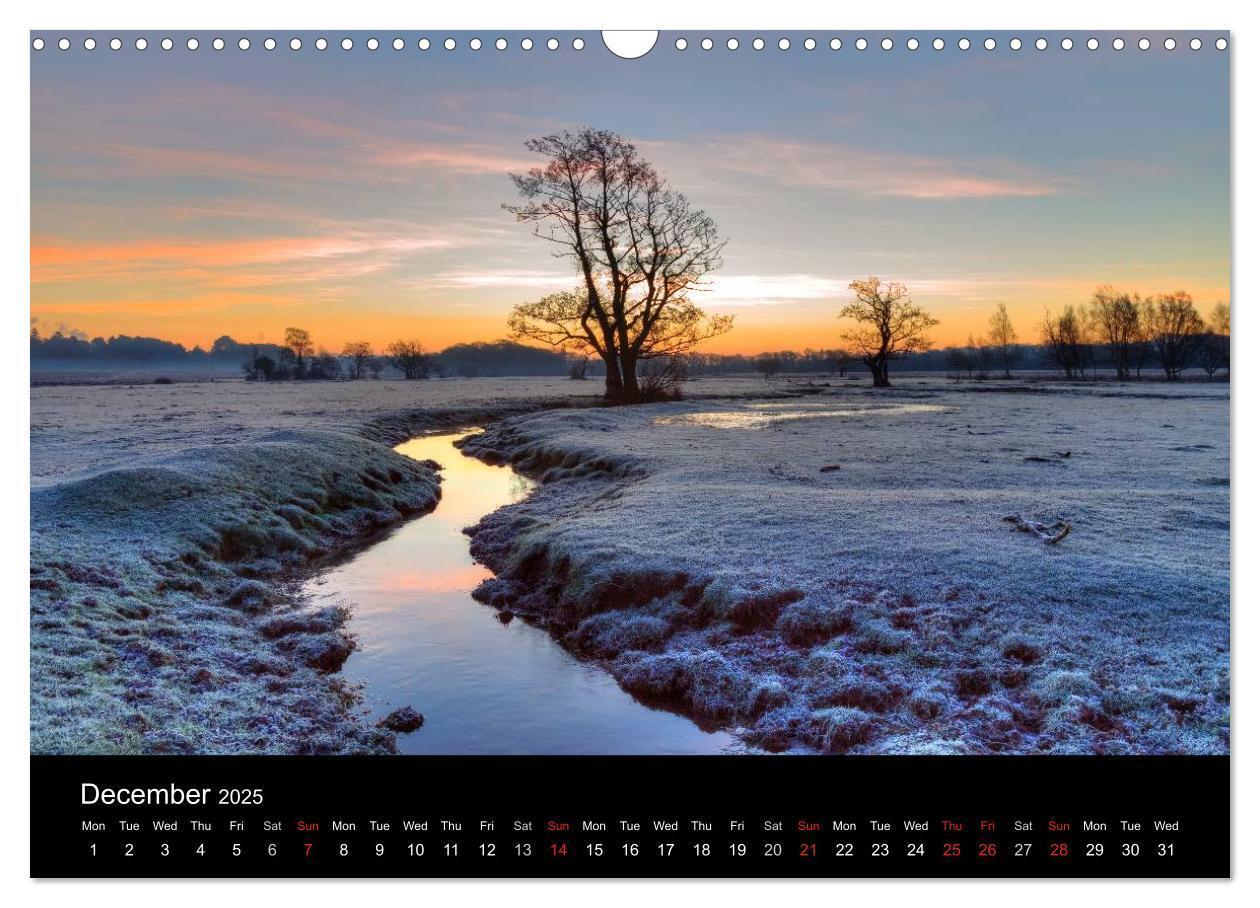 Bild: 9781325951734 | New Forest Hampshire (Wall Calendar 2025 DIN A3 landscape),...