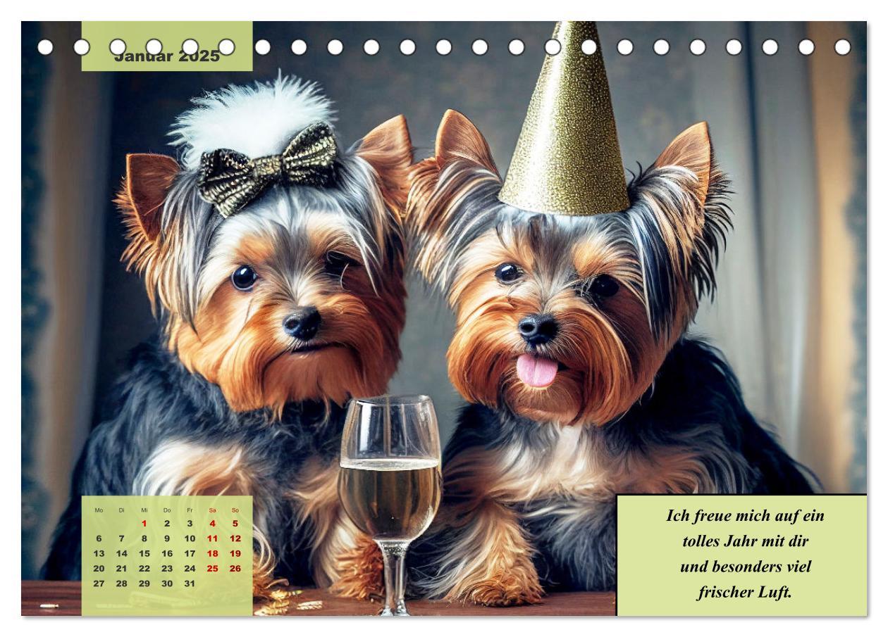 Bild: 9783383876707 | Der humoristische Yorkshire Terrier Kalender (Tischkalender 2025...