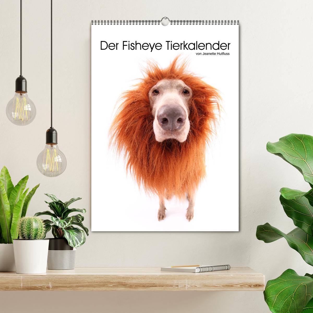 Bild: 9783435995646 | Der Fisheye Tiere Kalender (Wandkalender 2025 DIN A2 hoch),...