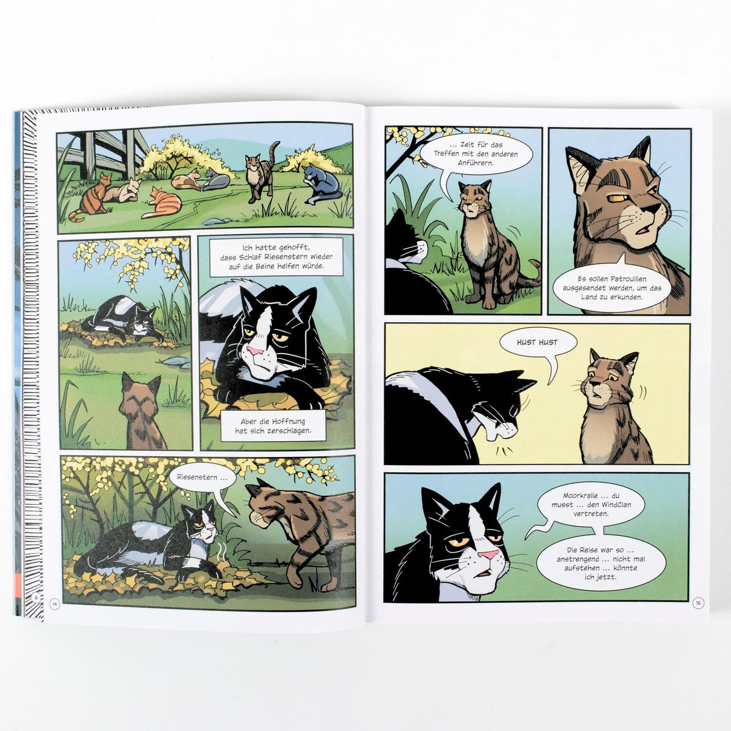 Bild: 9783407756916 | Warrior Cats - Wind des Wandels | Graphic Novel | Dan Jolley (u. a.)