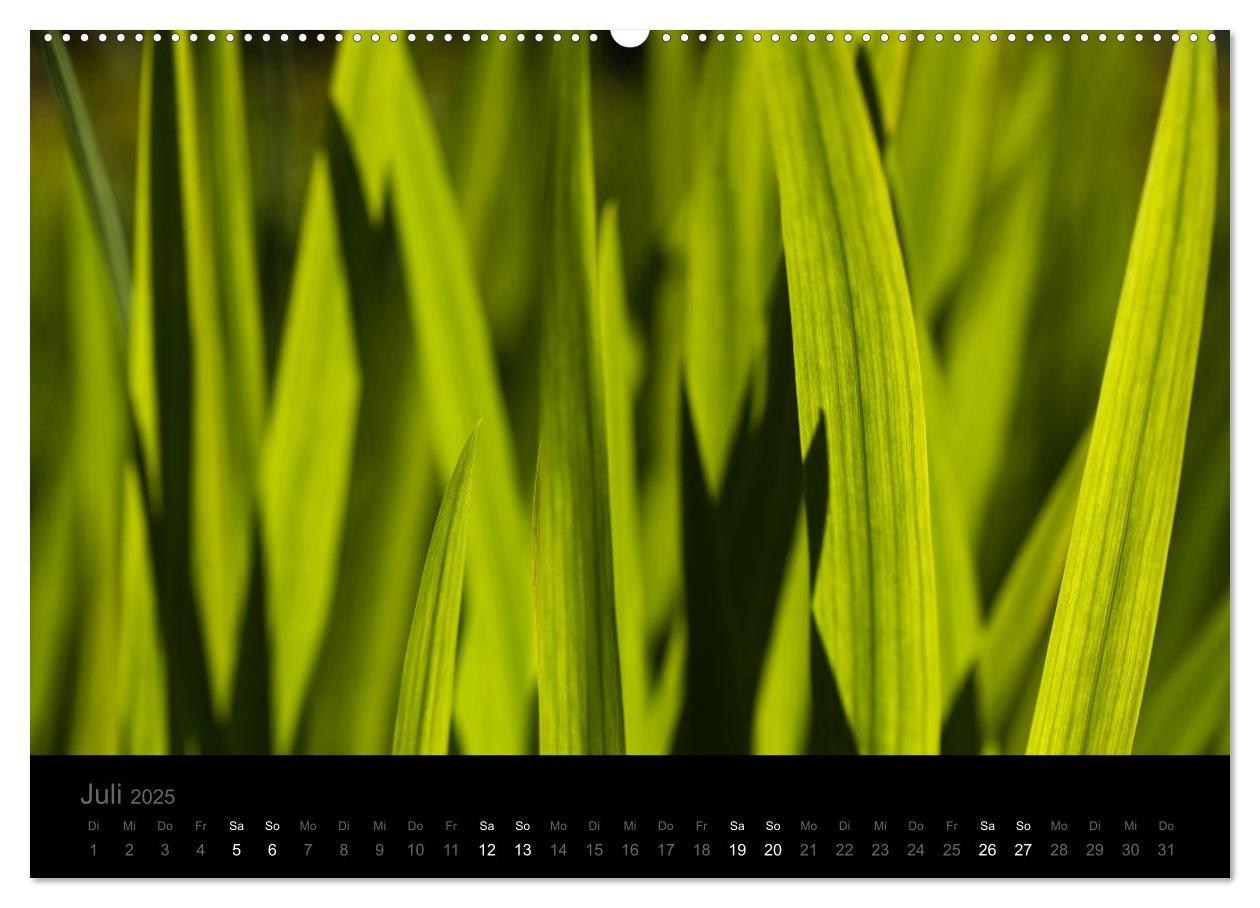 Bild: 9783435802128 | Natur im Detail (Wandkalender 2025 DIN A2 quer), CALVENDO...