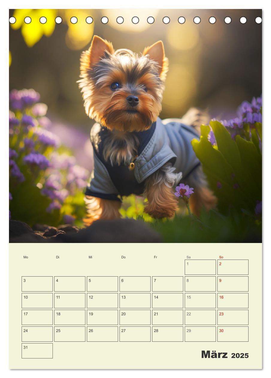 Bild: 9783435874705 | Yorkshire Terrier. Fröhliche Energiebündel in Aktion (Tischkalender...