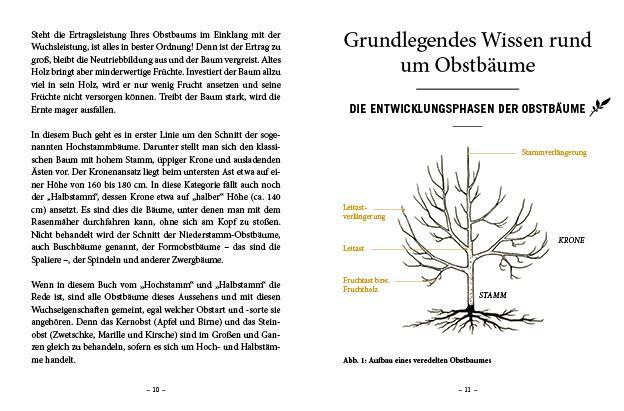 Bild: 9783710403057 | Das große kleine Buch: Obstbaumschnitt | Alles, was man wissen muss