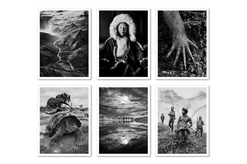 Bild: 9783836548014 | Sebastião Salgado. GENESIS. Postcard Set | Taschenbuch | 50 S. | 2020