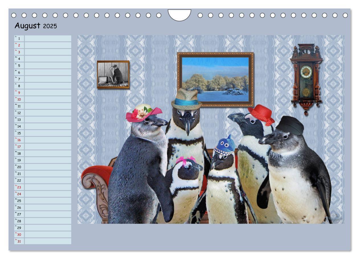 Bild: 9783435313877 | Pinguine privat Planer (Wandkalender 2025 DIN A4 quer), CALVENDO...