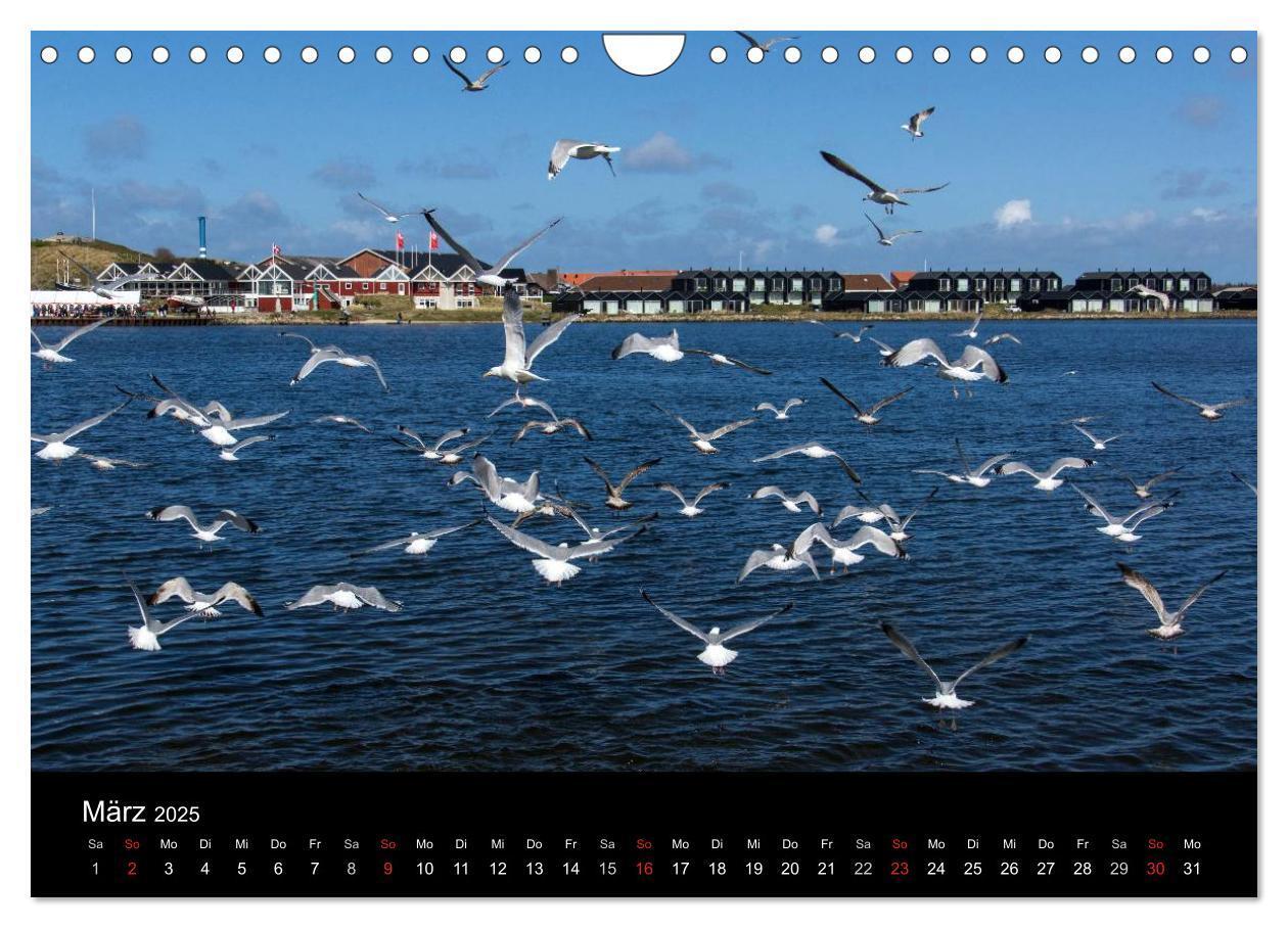 Bild: 9783435608546 | Dänemark - Umgebung von Hvide Sande (Wandkalender 2025 DIN A4...