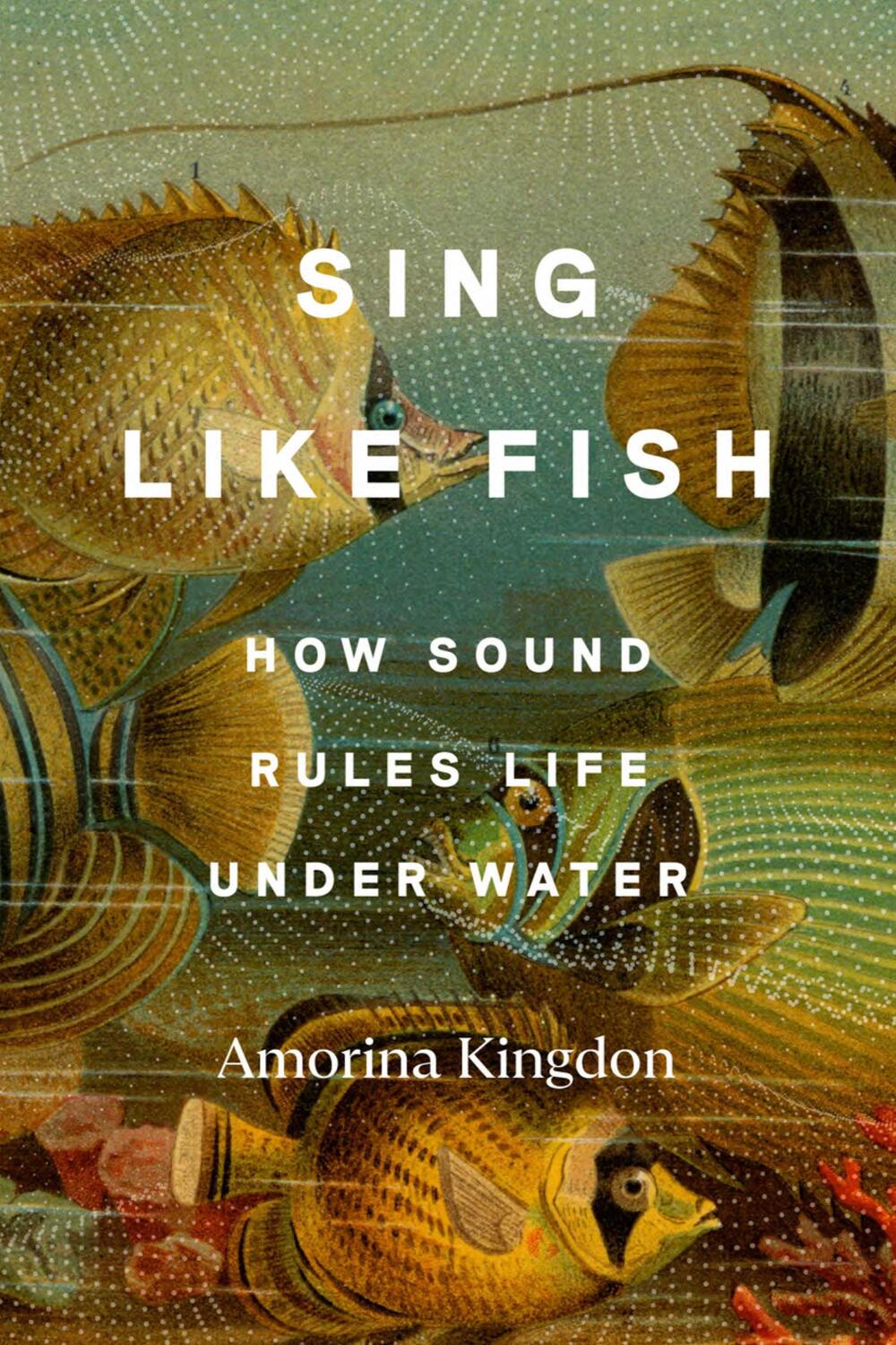 Cover: 9780593442777 | Sing Like Fish | How Sound Rules Life Under Water | Amorina Kingdon