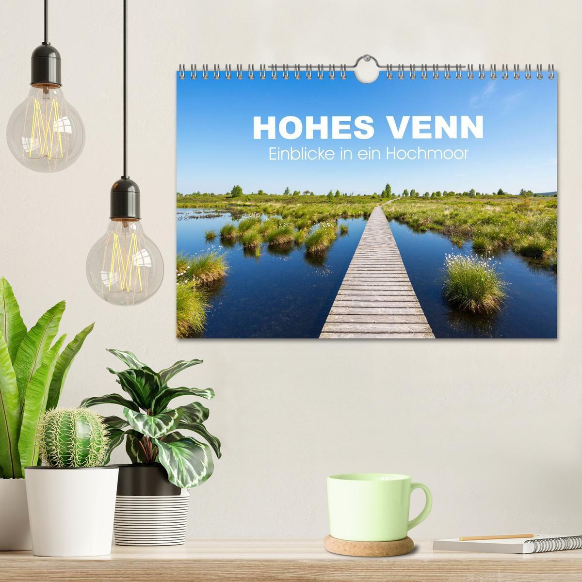 Bild: 9783435558087 | HOHES VENN - Einblicke in ein Hochmoor (Wandkalender 2025 DIN A4...