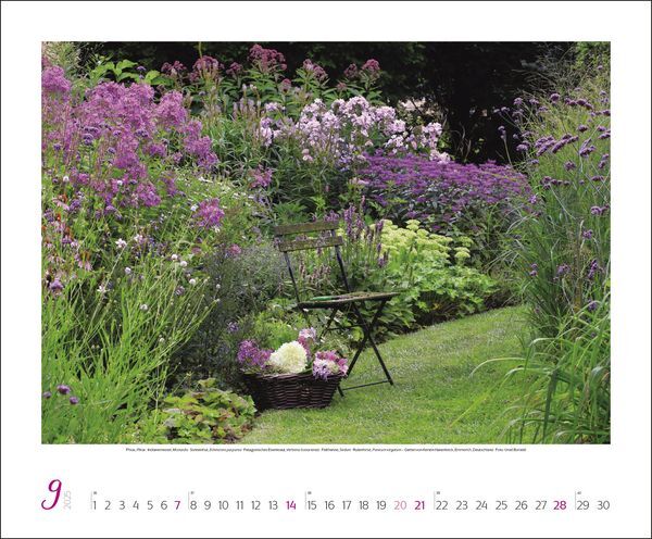 Bild: 9783731875925 | Gartenträume 2025 | Korsch Verlag | Kalender | Spiralbindung | 14 S.