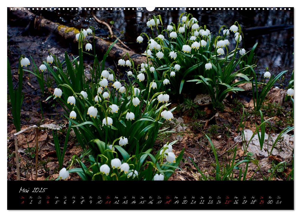 Bild: 9783435778546 | RHÖN = SCHÖN (Wandkalender 2025 DIN A2 quer), CALVENDO Monatskalender