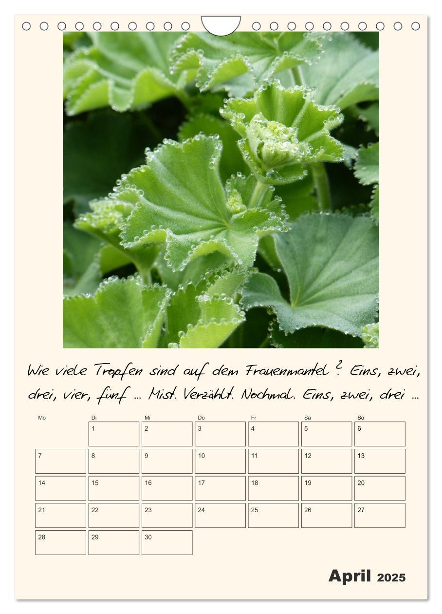 Bild: 9783435999583 | Gartengeschichten (Wandkalender 2025 DIN A4 hoch), CALVENDO...