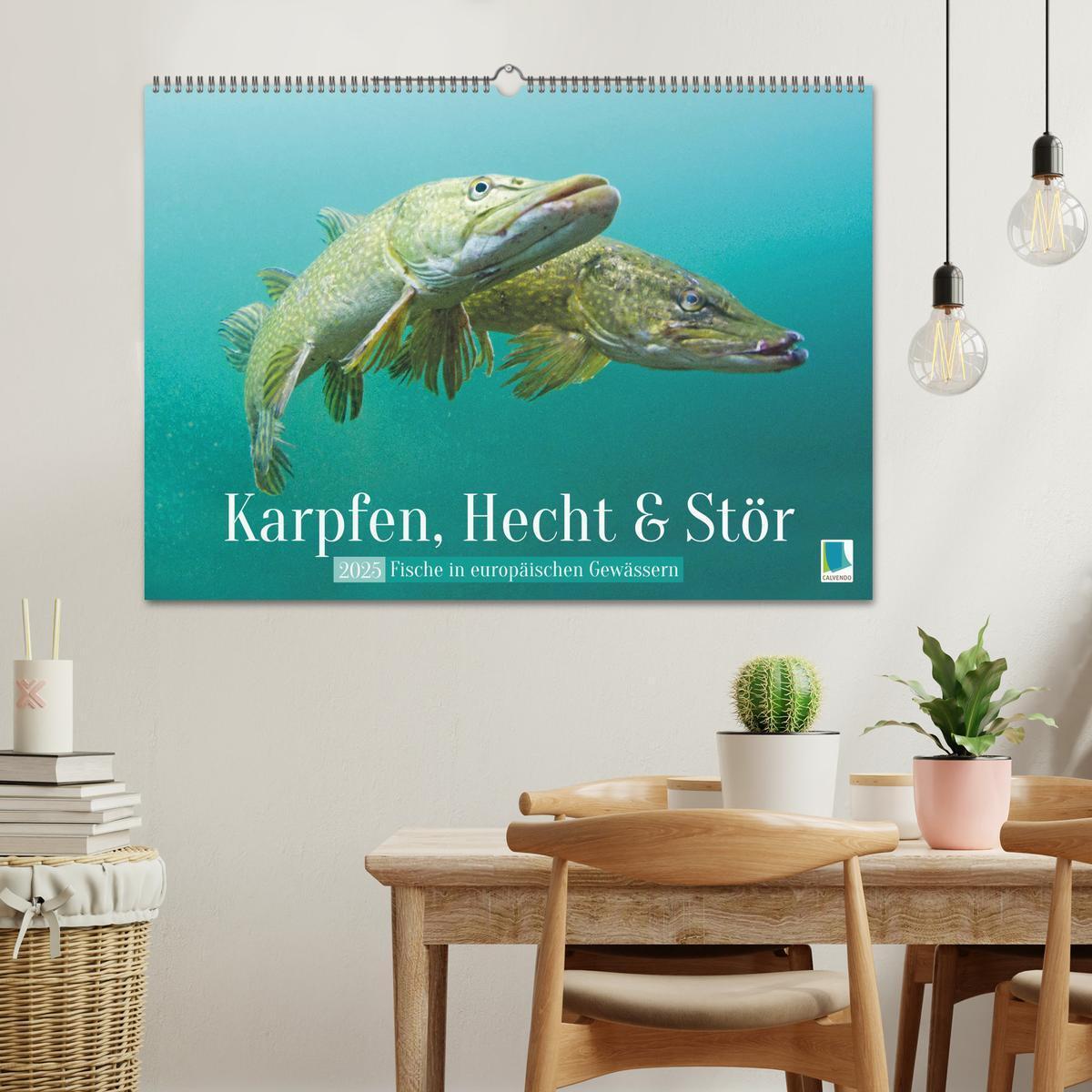 Bild: 9783457183069 | Karpfen, Hecht und Stör: Fische in europäischen Gewässern...