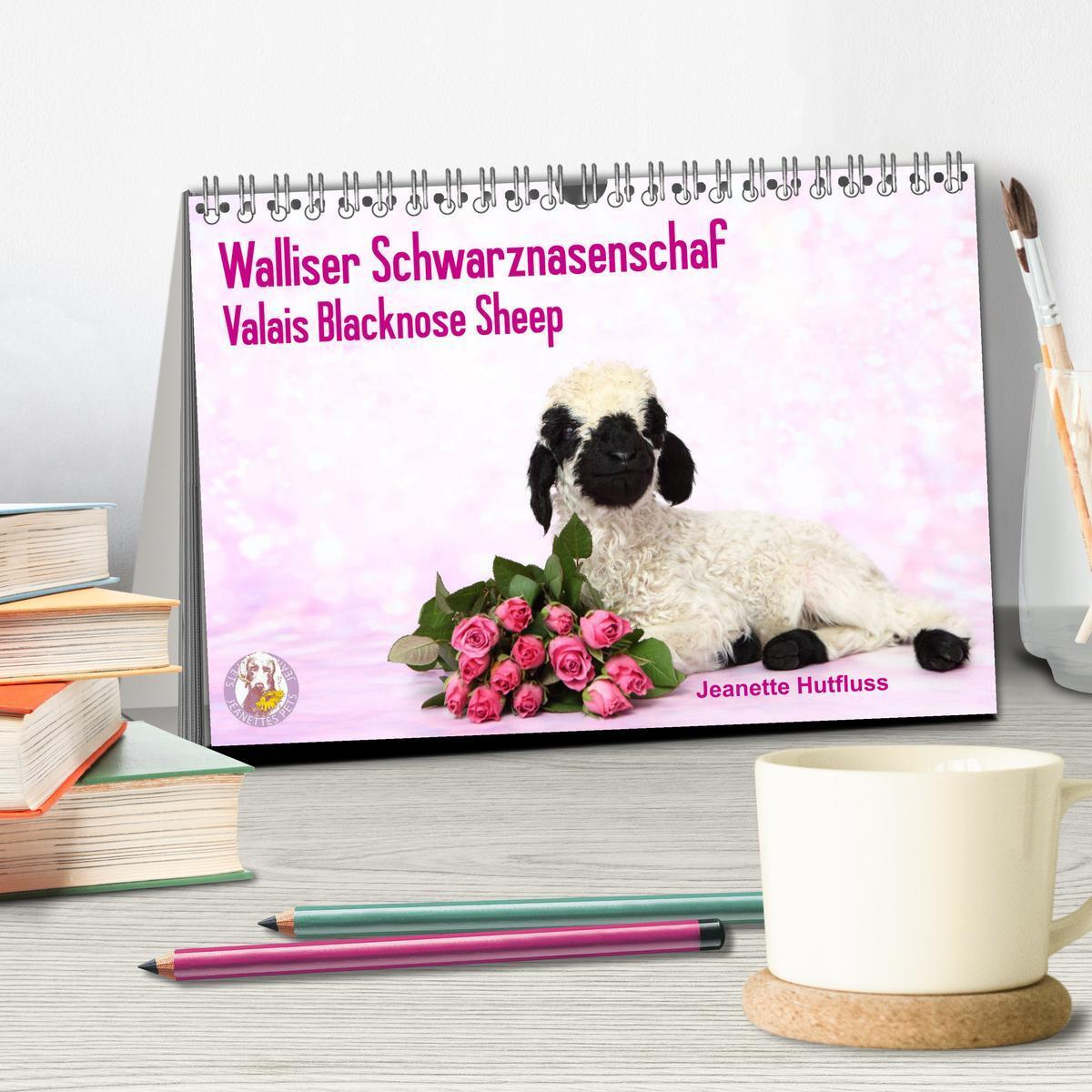 Bild: 9783435326068 | Walliser Schwarznasenschaf Valais Blacknose Sheep (Tischkalender...