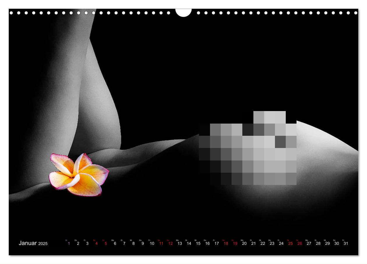 Bild: 9783383975219 | Erotik Art etwas Blumig POMBASTISCH (Wandkalender 2025 DIN A3...