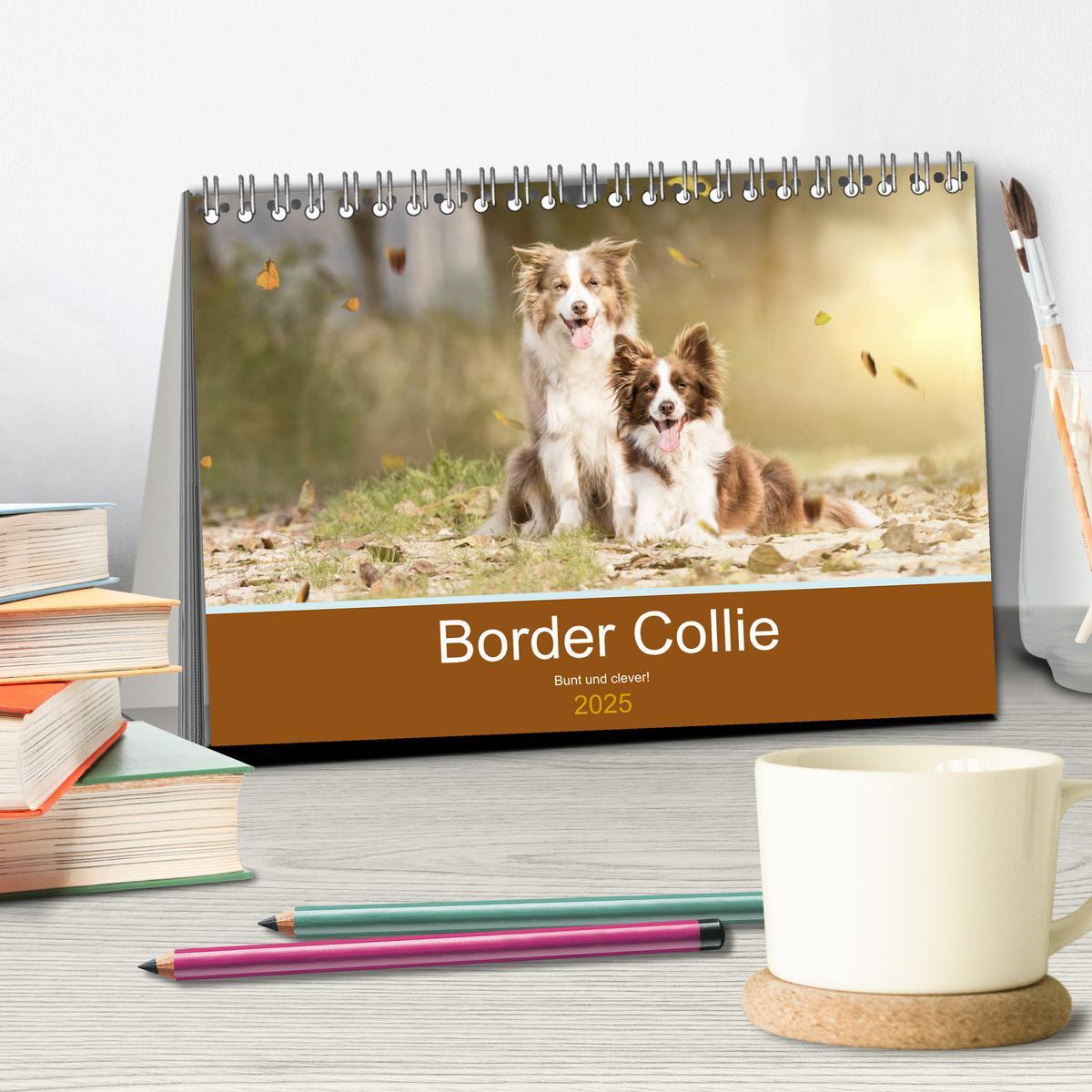 Bild: 9783435190539 | Border Collie - Bunt und clever! (Tischkalender 2025 DIN A5 quer),...