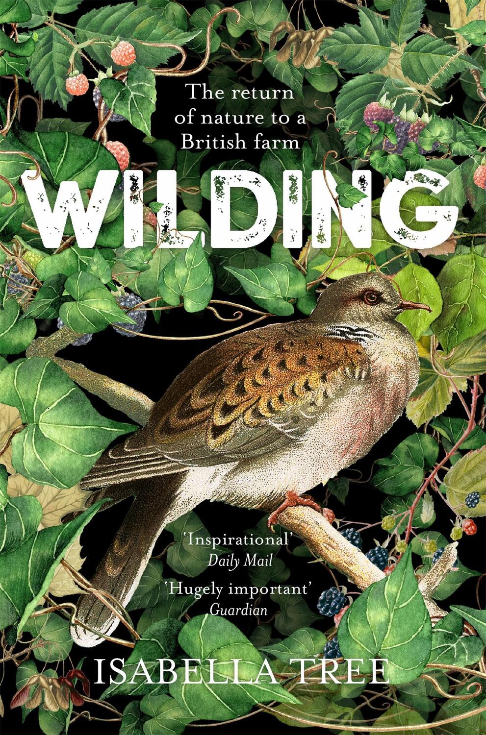 Cover: 9781509805105 | Wilding | The Return of Nature to a British Farm | Isabella Tree | XX