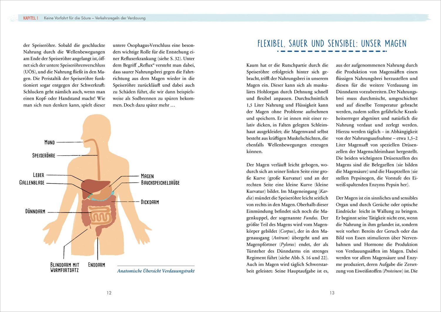 Bild: 9783517099699 | SOS Sodbrennen | Julia Seiderer-Nack | Taschenbuch | 160 S. | Deutsch