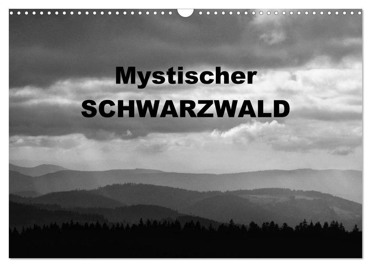 Cover: 9783435514540 | Mystischer Schwarzwald (Wandkalender 2025 DIN A3 quer), CALVENDO...